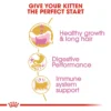 Royal Canin Feline Health Nutrition Protein Exigent 42 Adult Dry Cat Food 4kg