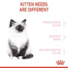 FELINE CARE NUTRITION - HAIR & SKIN 33 4KG