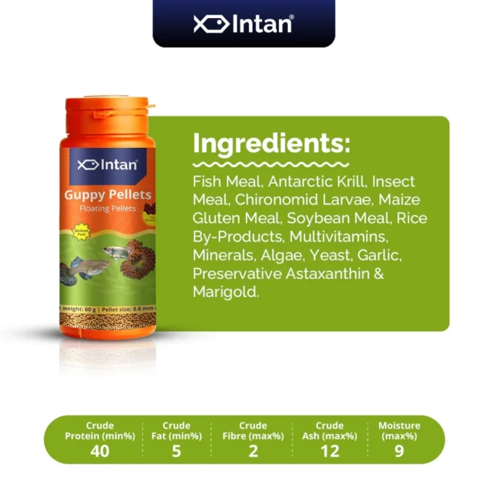 Intan Fish Food - Guppy Pellets 🐠 Player Choice For Fish Like Guppies & Small Surface Eating Fish 155g