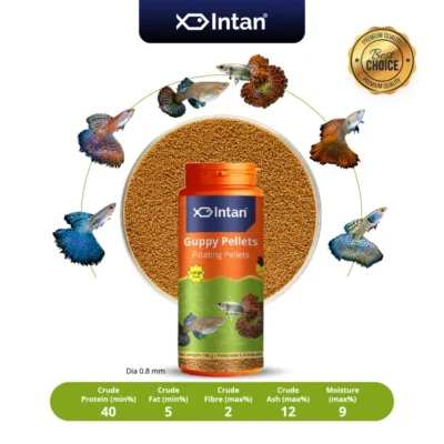 my-11134207-7rask-m1pyf1j0fhmy77.webp Intan Fish Food - Guppy Pellets 🐠 Player Choice For Fish Like Guppies & Small Surface Eating Fish 155g